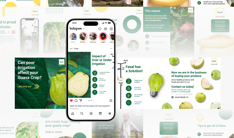 Fasal Social Media & Packaging Design